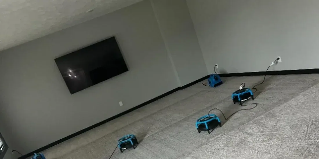Air movers running on freshly cleaned carpet