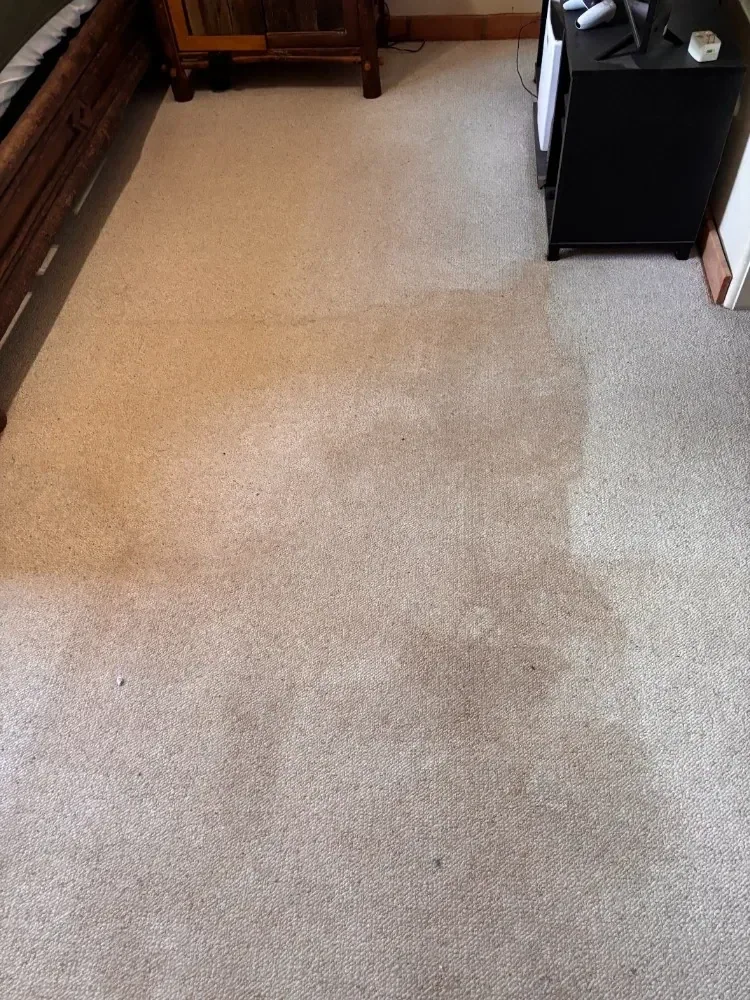 Carpet part-cleaned, showing the line between cleaned and uncleaned